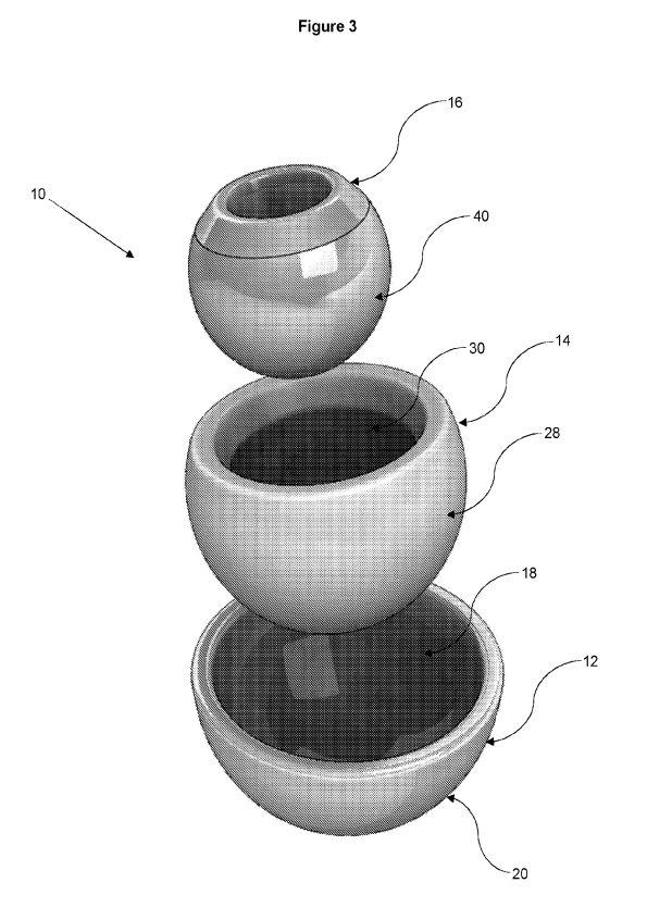 Example figure from MatOrtho international patent application WO2024126979